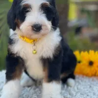 processed/7e4df409-cefb-4344-a6e4-9ea951afe7bd/facility/494e2ebc-21b7-48a0-8662-f70ce43d9921