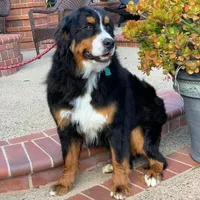 processed/7e4df409-cefb-4344-a6e4-9ea951afe7bd/facility/54480cf6-cb6f-493f-9b6b-ca4aa38847a5