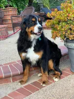 processed/7e4df409-cefb-4344-a6e4-9ea951afe7bd/facility/54480cf6-cb6f-493f-9b6b-ca4aa38847a5