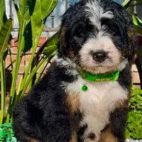 processed/7e4df409-cefb-4344-a6e4-9ea951afe7bd/facility/6fafe1b9-d178-4f5b-996a-012ee88b8185