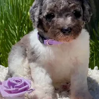 processed/7e4df409-cefb-4344-a6e4-9ea951afe7bd/facility/8d9e5f30-3d7e-42ef-9aa4-82538c310369