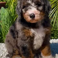 processed/7e4df409-cefb-4344-a6e4-9ea951afe7bd/facility/a6ccb186-3bb3-42db-954c-4a8ab1707628