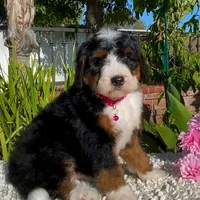 processed/7e4df409-cefb-4344-a6e4-9ea951afe7bd/facility/b89dafa0-d73c-42b7-9aad-7e44378b410d