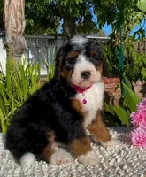 processed/7e4df409-cefb-4344-a6e4-9ea951afe7bd/facility/b89dafa0-d73c-42b7-9aad-7e44378b410d