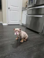 processed/7e509d96-aa1b-421a-9e79-2534b7b8bf89/listing/f5ee8656-0ab1-4b21-bc6b-bd6f1388c058/12457c22-d7c0-4895-bdcb-256d4f1daf9f