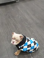 processed/7e509d96-aa1b-421a-9e79-2534b7b8bf89/listing/f5ee8656-0ab1-4b21-bc6b-bd6f1388c058/ae73ef4d-0eeb-4c77-baa2-645b51e39119