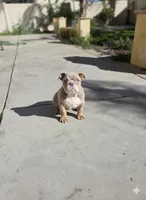 processed/7e509d96-aa1b-421a-9e79-2534b7b8bf89/listing/f5ee8656-0ab1-4b21-bc6b-bd6f1388c058/b429c997-d2a7-4376-8b05-0b4dd90d529b