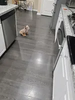 processed/7e509d96-aa1b-421a-9e79-2534b7b8bf89/listing/f5ee8656-0ab1-4b21-bc6b-bd6f1388c058/c2fd1a73-3460-4d4a-b90d-fe4abb7c04bd