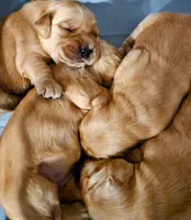 processed/7e58f56a-0384-4bfb-8ea9-a7df2ccad5a6/listing/0b2bbf9c-8eb8-49f1-a26e-b9f9d38c547c/6fe99676-9f63-4bdf-afc2-a2aa2bd457b7