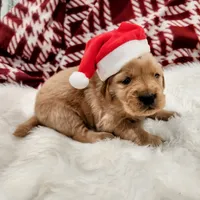 processed/7e58f56a-0384-4bfb-8ea9-a7df2ccad5a6/listing/0b2bbf9c-8eb8-49f1-a26e-b9f9d38c547c/93474b3f-20e7-4f47-862c-281f0b940862