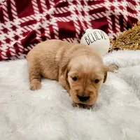 processed/7e58f56a-0384-4bfb-8ea9-a7df2ccad5a6/listing/0b2bbf9c-8eb8-49f1-a26e-b9f9d38c547c/b8c50eaa-131d-4511-a32a-79dcdf4897d1