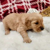 processed/7e58f56a-0384-4bfb-8ea9-a7df2ccad5a6/listing/0b2bbf9c-8eb8-49f1-a26e-b9f9d38c547c/c97a90c7-16f9-4a05-80e8-8f0b2230a4c4