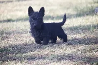 processed/7e652c08-4ef7-46b4-9a2d-a873cd71a3be/listing/046c5032-cba5-42c4-a2a7-1f88cf66aa21/9ddb2458-028b-4b00-a837-bb1e4de710dc