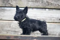 processed/7e652c08-4ef7-46b4-9a2d-a873cd71a3be/listing/046c5032-cba5-42c4-a2a7-1f88cf66aa21/fbfbfa4a-9a2f-4cf3-af7a-da1d8b6b6d2e