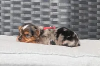 processed/7e652c08-4ef7-46b4-9a2d-a873cd71a3be/listing/a58c295b-2b10-4d17-951c-a5563885ddbd/17d2a560-2fbd-48da-a7eb-11fcbaee766b