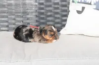 processed/7e652c08-4ef7-46b4-9a2d-a873cd71a3be/listing/a58c295b-2b10-4d17-951c-a5563885ddbd/33122b3e-1fb6-40b4-9471-a1308bf59d96