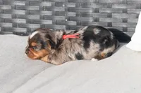 processed/7e652c08-4ef7-46b4-9a2d-a873cd71a3be/listing/a58c295b-2b10-4d17-951c-a5563885ddbd/cb53cb7b-0258-4df0-82ec-fc4f3d650c31