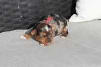 processed/7e652c08-4ef7-46b4-9a2d-a873cd71a3be/listing/a58c295b-2b10-4d17-951c-a5563885ddbd/ebf5fa36-7d18-4db5-b1a5-7aebe8cde3c4