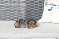 processed/7e652c08-4ef7-46b4-9a2d-a873cd71a3be/listing/e0f267be-18d9-4c69-9234-38e14ba2922e/106b7650-2610-4bed-8080-dc39624dd195