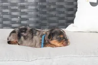 processed/7e652c08-4ef7-46b4-9a2d-a873cd71a3be/listing/e0f267be-18d9-4c69-9234-38e14ba2922e/ce7faea8-bdf7-4b46-896a-37795c8b2fe8