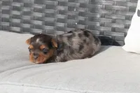 processed/7e652c08-4ef7-46b4-9a2d-a873cd71a3be/listing/e0f267be-18d9-4c69-9234-38e14ba2922e/f4554a8f-f180-40d2-9dcc-e7fd9a6ebdb2