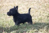 processed/7e652c08-4ef7-46b4-9a2d-a873cd71a3be/listing/fe98b4c9-2207-4b36-8866-56eb0c36e43b/7fc0c542-1bcf-491a-8947-91661c942bda