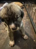 processed/7e655ea7-7266-4af4-824d-2fa7f9eb7716/listing/8151188b-7e1a-454c-ad48-ec127cc099a0/f8f6205a-6ff6-4b76-ab33-85d961dc983d