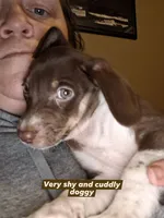 processed/7e65ad2a-272b-4591-b62b-334e5ec21e24/listing/0b6a510c-6bcd-450f-bcda-a996176488f1/44cc9881-1dfb-4fa9-8a37-0a5cc6cd1c9f