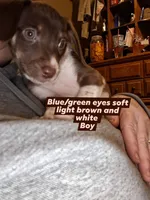 processed/7e65ad2a-272b-4591-b62b-334e5ec21e24/listing/0b6a510c-6bcd-450f-bcda-a996176488f1/bd6f089a-44ac-451e-96f3-b5f79cd3efe7