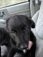 processed/7e65ad2a-272b-4591-b62b-334e5ec21e24/listing/61b752a1-fdd0-4ec7-8ae1-02edaaf9c9c8/22e13c0e-1ad3-4749-88cc-d4fddc85e86a