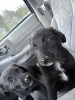 processed/7e65ad2a-272b-4591-b62b-334e5ec21e24/listing/61b752a1-fdd0-4ec7-8ae1-02edaaf9c9c8/4e6ebd64-afe9-484a-b9ae-4bd225a16818