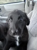 processed/7e65ad2a-272b-4591-b62b-334e5ec21e24/listing/61b752a1-fdd0-4ec7-8ae1-02edaaf9c9c8/9f5fede7-152c-4a0b-be68-6e9d4739e8f5