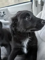 processed/7e65ad2a-272b-4591-b62b-334e5ec21e24/listing/61b752a1-fdd0-4ec7-8ae1-02edaaf9c9c8/de7d85bd-dca3-49f6-9c41-1a4b8643a9c8