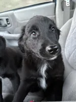 processed/7e65ad2a-272b-4591-b62b-334e5ec21e24/listing/61b752a1-fdd0-4ec7-8ae1-02edaaf9c9c8/e4b7297a-7048-4346-b60b-e3d391660969