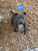 processed/7e65ad2a-272b-4591-b62b-334e5ec21e24/listing/67ea97ca-f390-4dd4-bc3f-3a8c894b9018/c07b982e-fa36-4859-b33f-6543e73dfdec