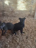 processed/7e65ad2a-272b-4591-b62b-334e5ec21e24/listing/67ea97ca-f390-4dd4-bc3f-3a8c894b9018/f5d2262c-5c8d-4775-9b2d-e85edd84d0a7