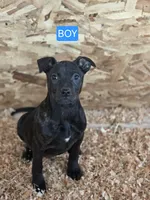 processed/7e65ad2a-272b-4591-b62b-334e5ec21e24/listing/d1c5963c-0da4-4b97-b526-fa645a2348b0/454b66ee-6500-4e4c-91c1-6c5ffa618dcf