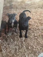 processed/7e65ad2a-272b-4591-b62b-334e5ec21e24/listing/d1c5963c-0da4-4b97-b526-fa645a2348b0/8e0bb47d-7f4a-49c4-9343-3806b48f64c4