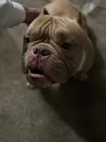 processed/7e65ad2a-272b-4591-b62b-334e5ec21e24/listing/ea226cdb-1a40-4ad3-a915-026ad8a46a70/313f19ce-65a5-426a-93e7-f805df8e12ed