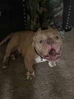 processed/7e65ad2a-272b-4591-b62b-334e5ec21e24/listing/ea226cdb-1a40-4ad3-a915-026ad8a46a70/826572c9-99dc-465e-85b0-d8625dccc920