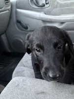 processed/7e65ad2a-272b-4591-b62b-334e5ec21e24/listing/fc7ad870-de17-440e-aa95-64292287f8f2/e38f0223-a86d-4326-bb43-7bf6a4a71db1