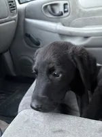 processed/7e65ad2a-272b-4591-b62b-334e5ec21e24/listing/fc7ad870-de17-440e-aa95-64292287f8f2/ff5a5fe6-8e8a-4ba6-a6a7-52c6bbf259fe