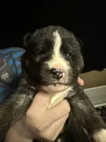 processed/7e7465a7-9f2a-495b-95ce-3756fac99793/listing/3f996b02-214e-4df7-96be-a6d1422c9561/2fcfbc0d-3517-476e-8b95-2495062ab5f2