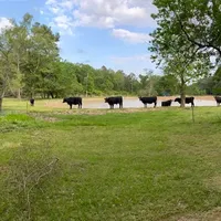 processed/7e74e31a-6a5c-4aed-83ee-f6da726ff596/facility/fc2a530a-f7ad-4dcd-b013-9f8c3ae74596