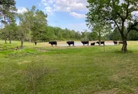 processed/7e74e31a-6a5c-4aed-83ee-f6da726ff596/facility/fc2a530a-f7ad-4dcd-b013-9f8c3ae74596