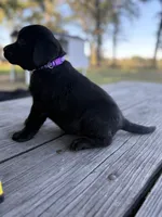 processed/7e74e31a-6a5c-4aed-83ee-f6da726ff596/listing/153d836b-7231-49fa-b20c-35496c73ce4c/08cab8ae-e0a1-4d74-a16b-cb8a3743a322