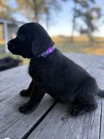 processed/7e74e31a-6a5c-4aed-83ee-f6da726ff596/listing/153d836b-7231-49fa-b20c-35496c73ce4c/130b503d-9182-4207-a03b-b62f6db1f9ed