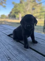 processed/7e74e31a-6a5c-4aed-83ee-f6da726ff596/listing/153d836b-7231-49fa-b20c-35496c73ce4c/20469f5e-cafc-4deb-96c3-80dcf6b5b64a