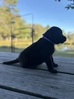 processed/7e74e31a-6a5c-4aed-83ee-f6da726ff596/listing/153d836b-7231-49fa-b20c-35496c73ce4c/20ce1e5c-fb52-47cc-8a74-f94b79b3d0fc