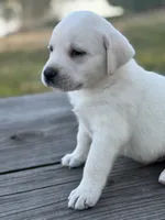 processed/7e74e31a-6a5c-4aed-83ee-f6da726ff596/listing/1bc75e78-27c2-42d3-9346-7ba184849fb1/2d0a24b0-c32d-4078-a877-88370146ad0b